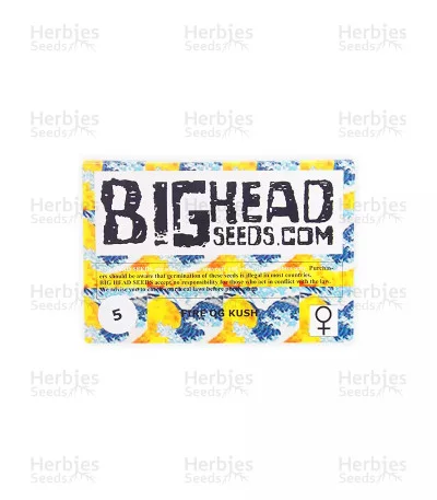 Fire OG Kush van Big Head Seeds