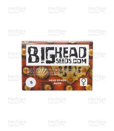 Head Stash van Big Head Seeds