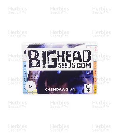Chemdawg #4 van Big Head Seeds
