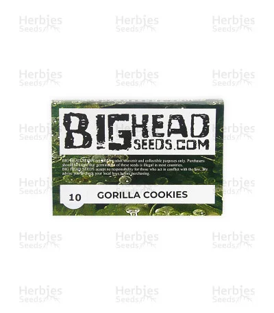 Gorilla Cookies van Big Head Seeds