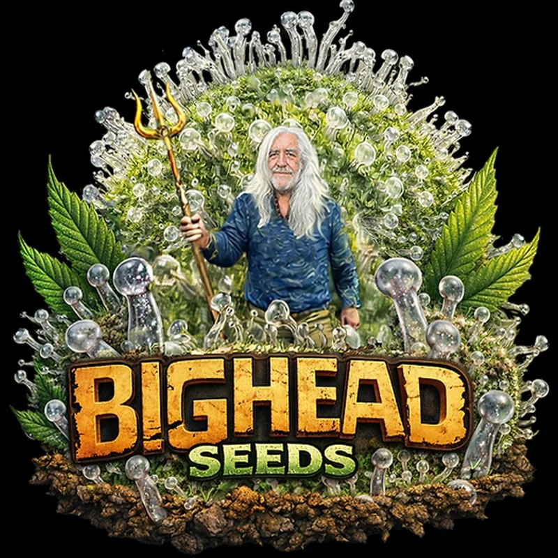 Z Nerds van Big Head Seeds