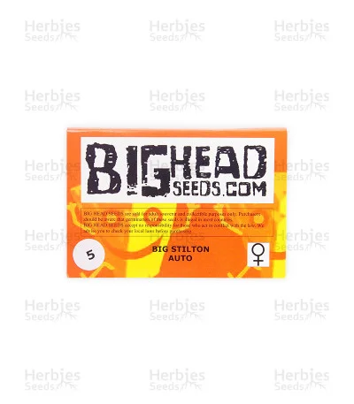 Big Stilton van Big Head Seeds