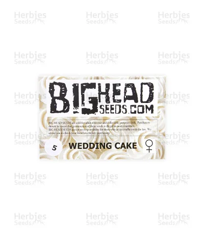 Wedding Cake van Big Head Seeds