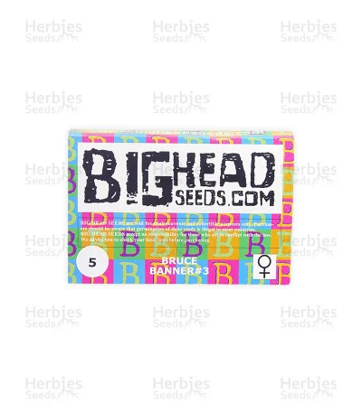 Bruce Banner #3 van Big Head Seeds