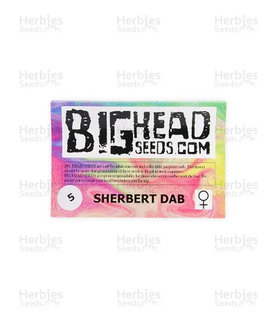 Sherbert Dab van Big Head Seeds