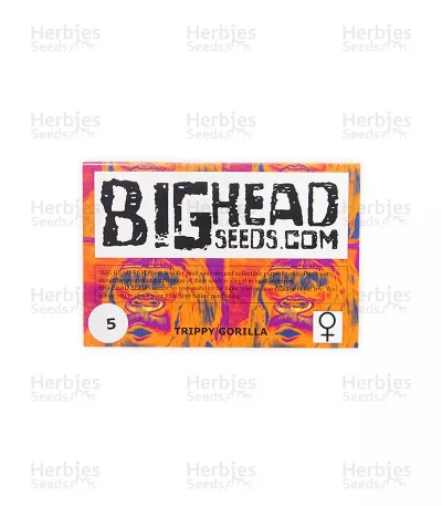 Trippy Gorilla van Big Head Seeds