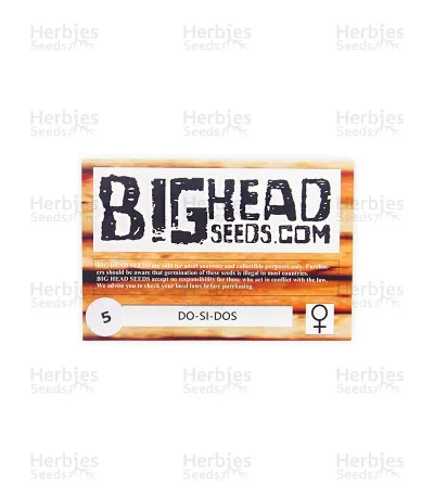 Do-Si-Dos van Big Head Seeds