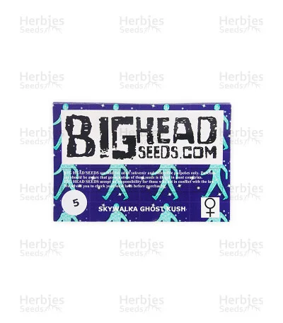 Skywalka Ghost Kush van Big Head Seeds