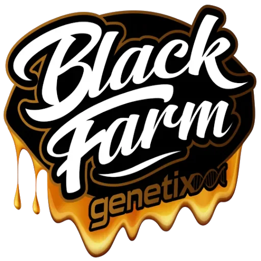 Tiramisu van BlackFarm Genetix