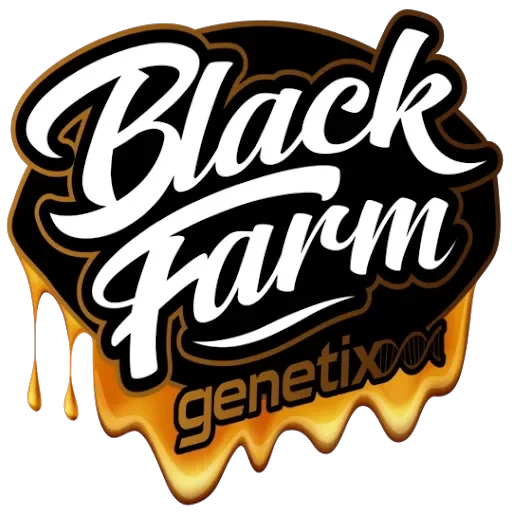 Tiramisu van BlackFarm Genetix