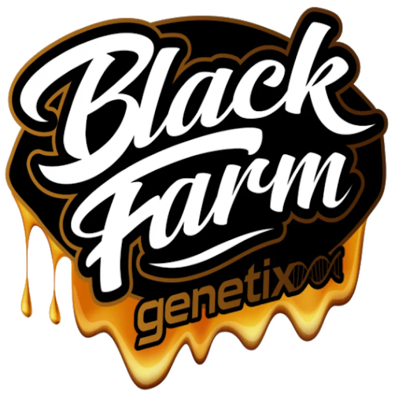 Glukies BX van BlackFarm Genetix