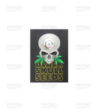 Speed Haze van Blackskull Seeds
