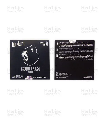 Gorilla G4 van Blimburn Seeds