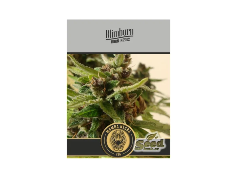 Black Mamba CBD van Blimburn Seeds
