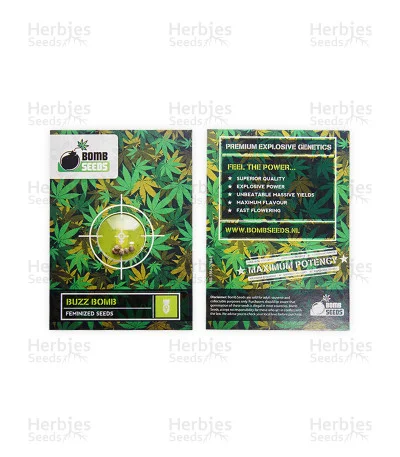 Buzz Bomb van Bomb Seeds