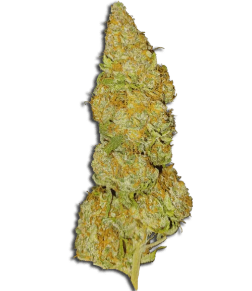 Baked Bomb van Bomb Seeds