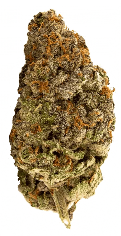 Banana Bomb van Bomb Seeds