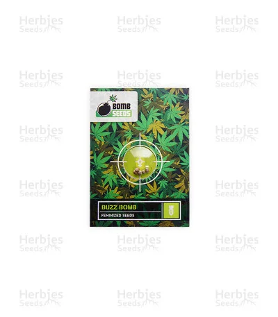 Buzz Bomb van Bomb Seeds