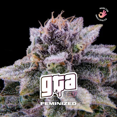 GTA van BSF Seeds
