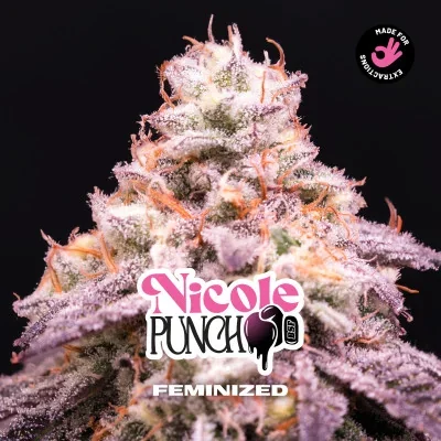 Nicole Punch van BSF Seeds