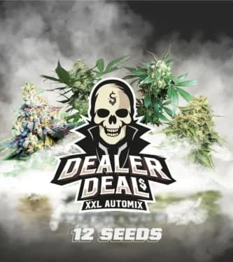 Dealer Deal XXL Automix van BSF Seeds