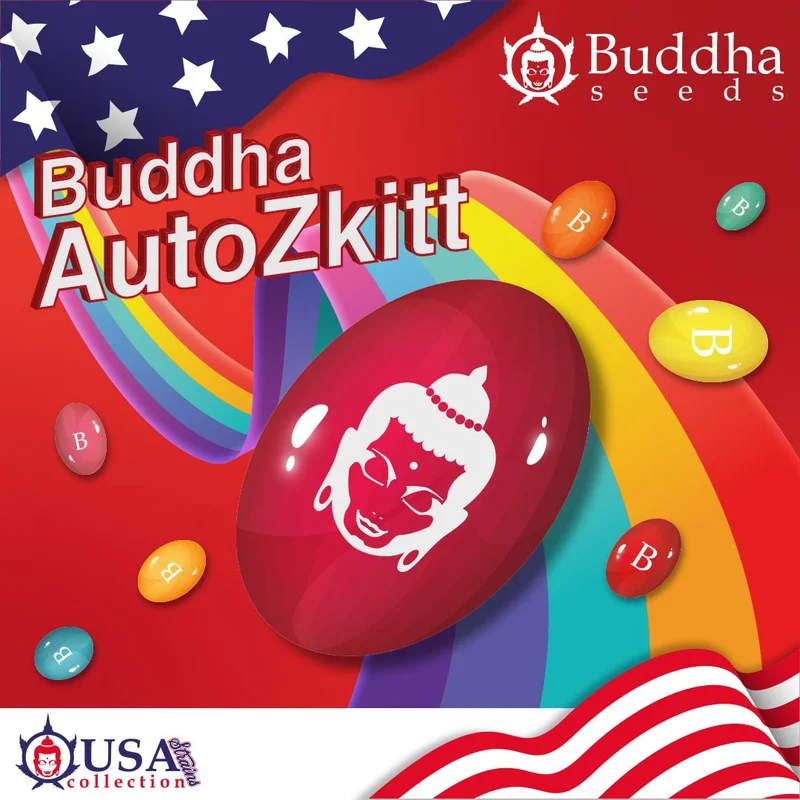 Zkitt van Buddha Seeds
