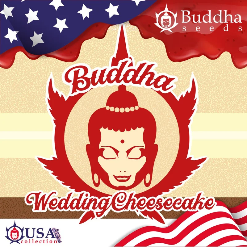 Wedding Cheesecake van Buddha Seeds