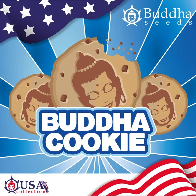 Cookie van Buddha Seeds