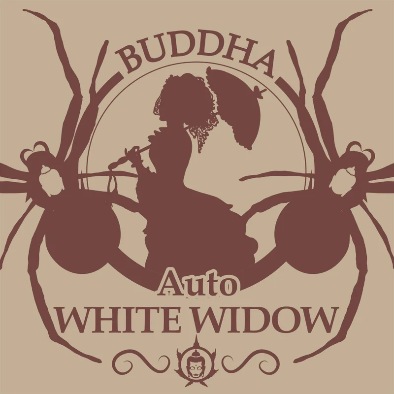 White Widow van Buddha Seeds