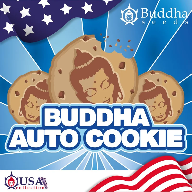 Cookie van Buddha Seeds