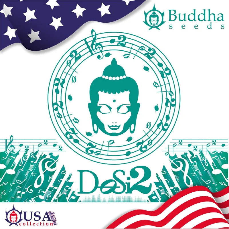 DoSi2 van Buddha Seeds