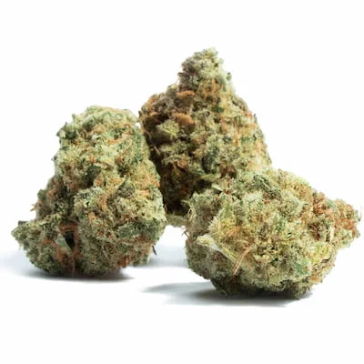 Amnesia van Blk.seeds
