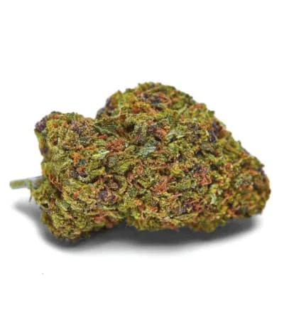 Lavender van BulkSeedBank