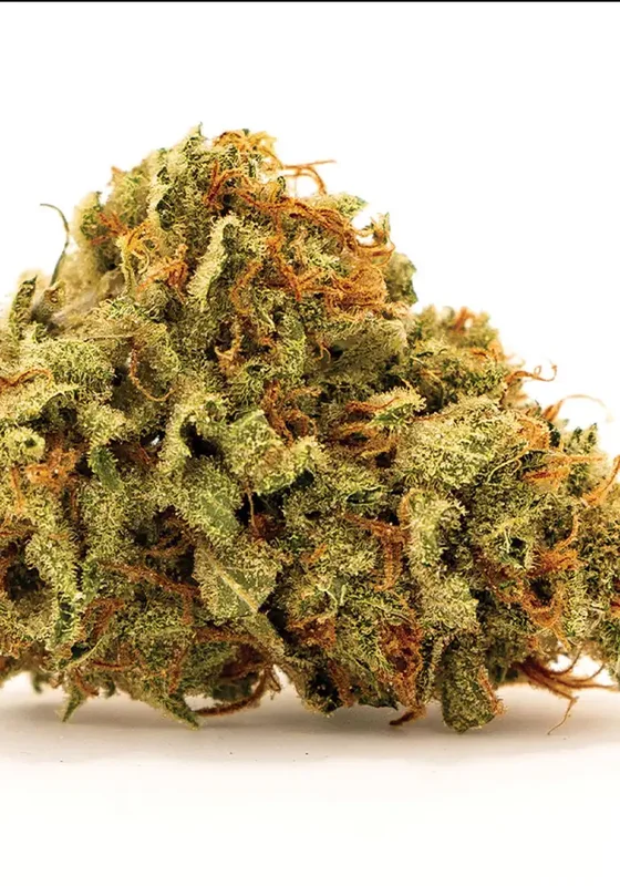 Sherbet Power van BulkSeedBank