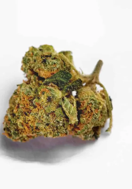 Green Candy van BulkSeedBank