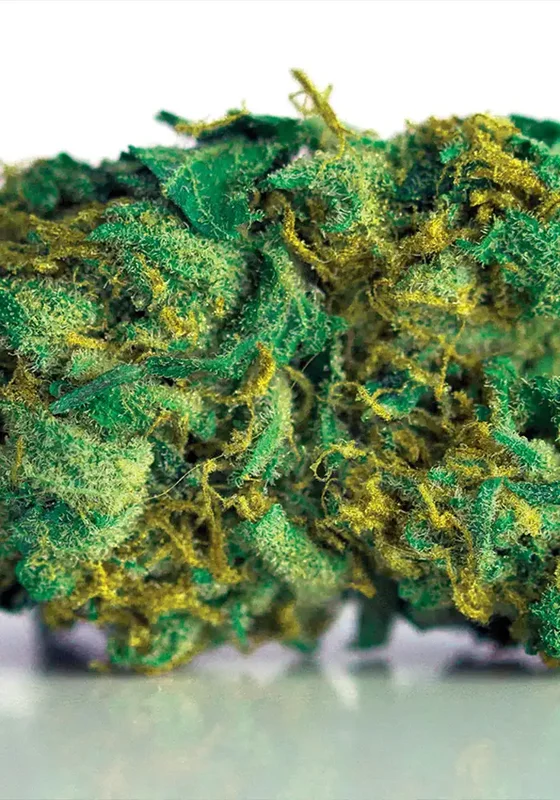 Grande Crack van BulkSeedBank