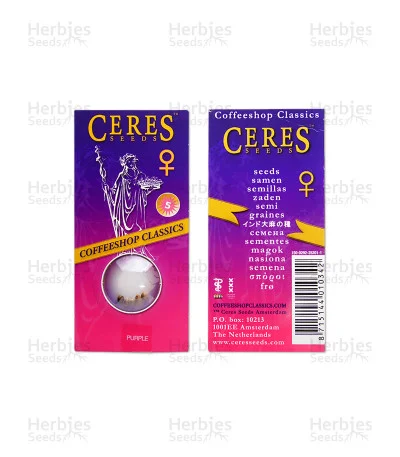 Purple van Ceres seeds