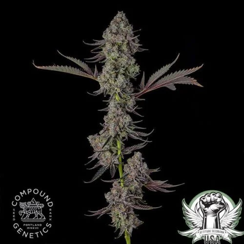 Presidential Pardon van Compound Genetics