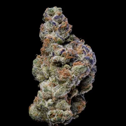 White Coconut Pie van Cookies Seed Bank