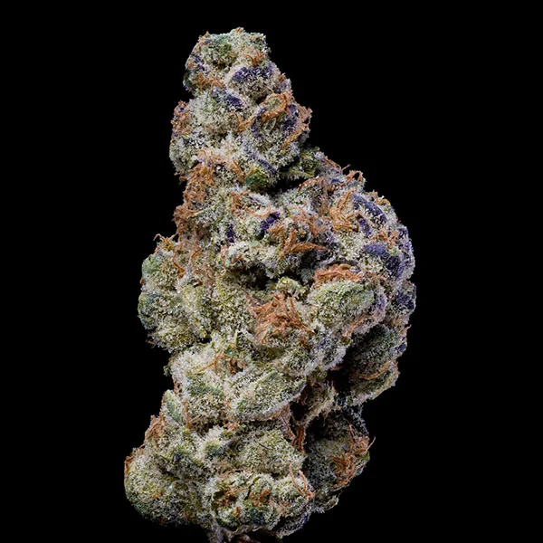 White Coconut Pie van Cookies Seed Bank
