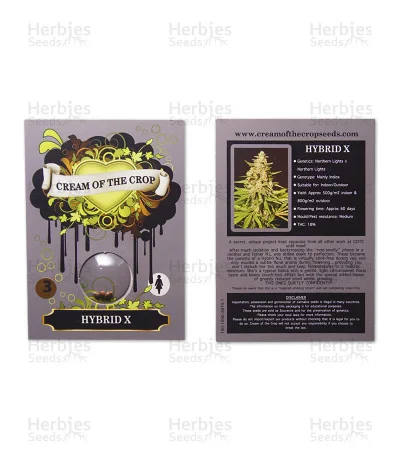 Hybrid X van Cream of the Crop Seeds