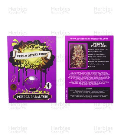 Purple Paralysis van Cream of the Crop Seeds