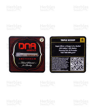 Triple Scoop van DNA Genetics