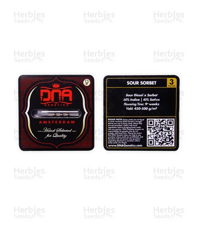 Sour Sorbet van DNA Genetics