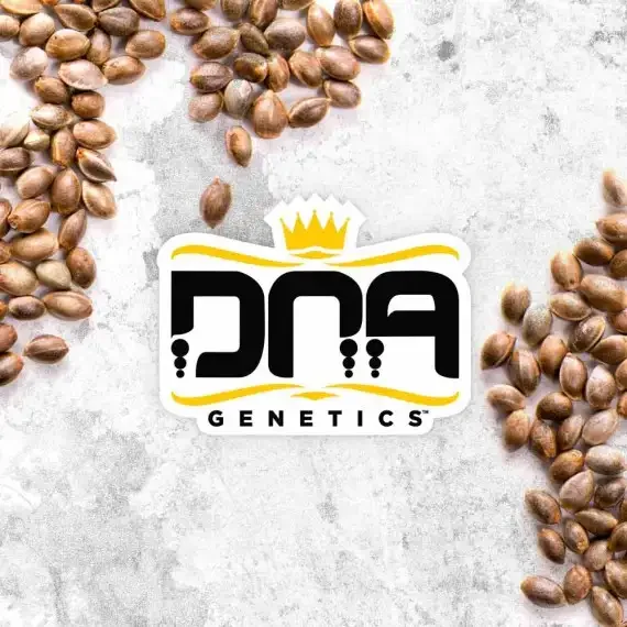 DNA Mystery Pack by DNA Genetics