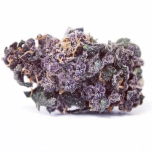 Purple Wreck van DNA Genetics