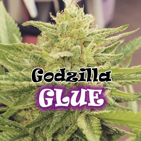 Godzilla Glue van Dr. Underground