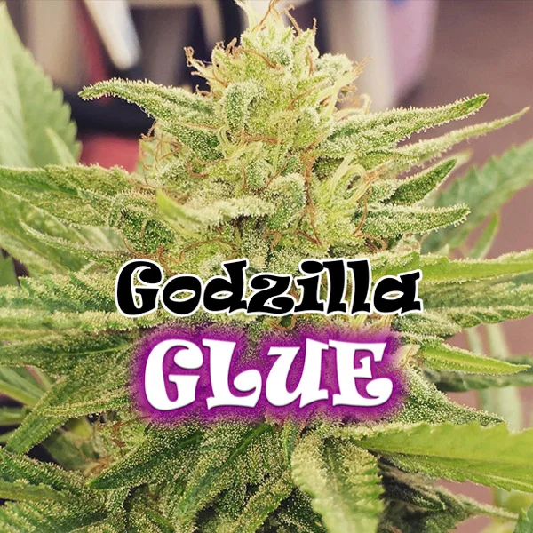 Godzilla Glue van Dr. Underground