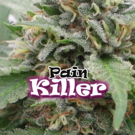 PainKiller van Dr. Underground