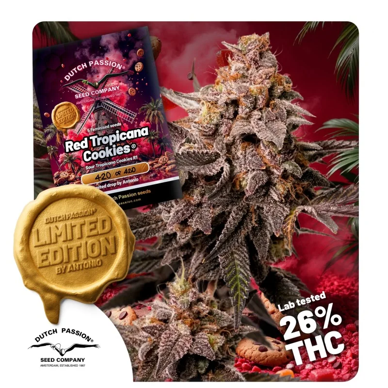 Red Tropicana Cookies van Dutch Passion